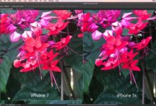 少数iPhone7 Plus拍照质量差 你中枪了吗?-玩机族