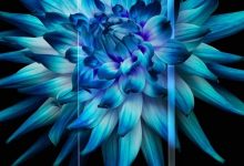 全面屏+四摄 华为新机麦芒6宣布:9月22日发布-玩机族